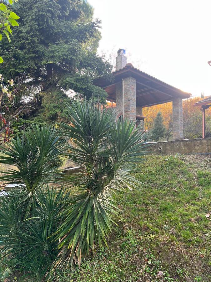 House In The Woods Apartment Kardítsa Exterior foto